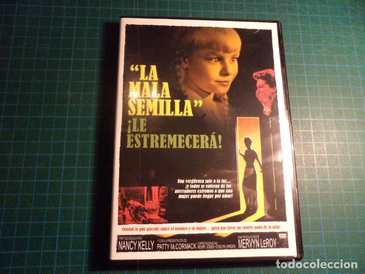 Cine: La mala semilla. (P-27) - Foto 1