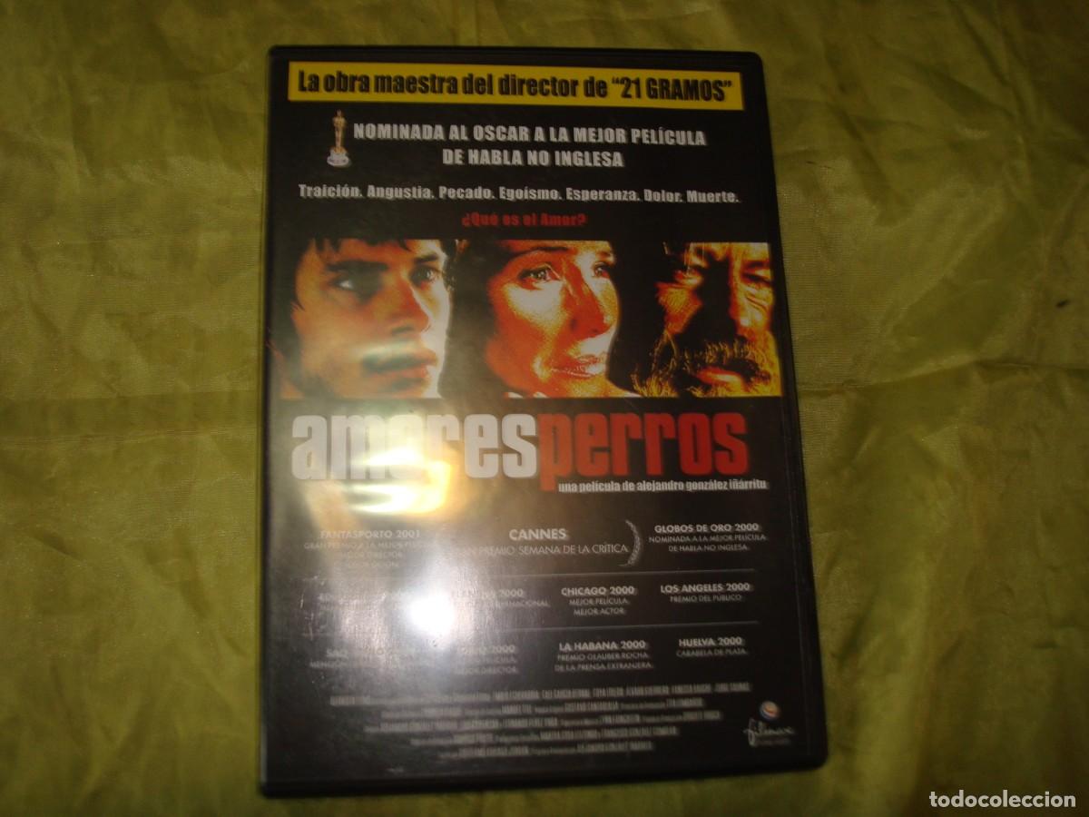 Cinema: AMORES PERROS. DVD