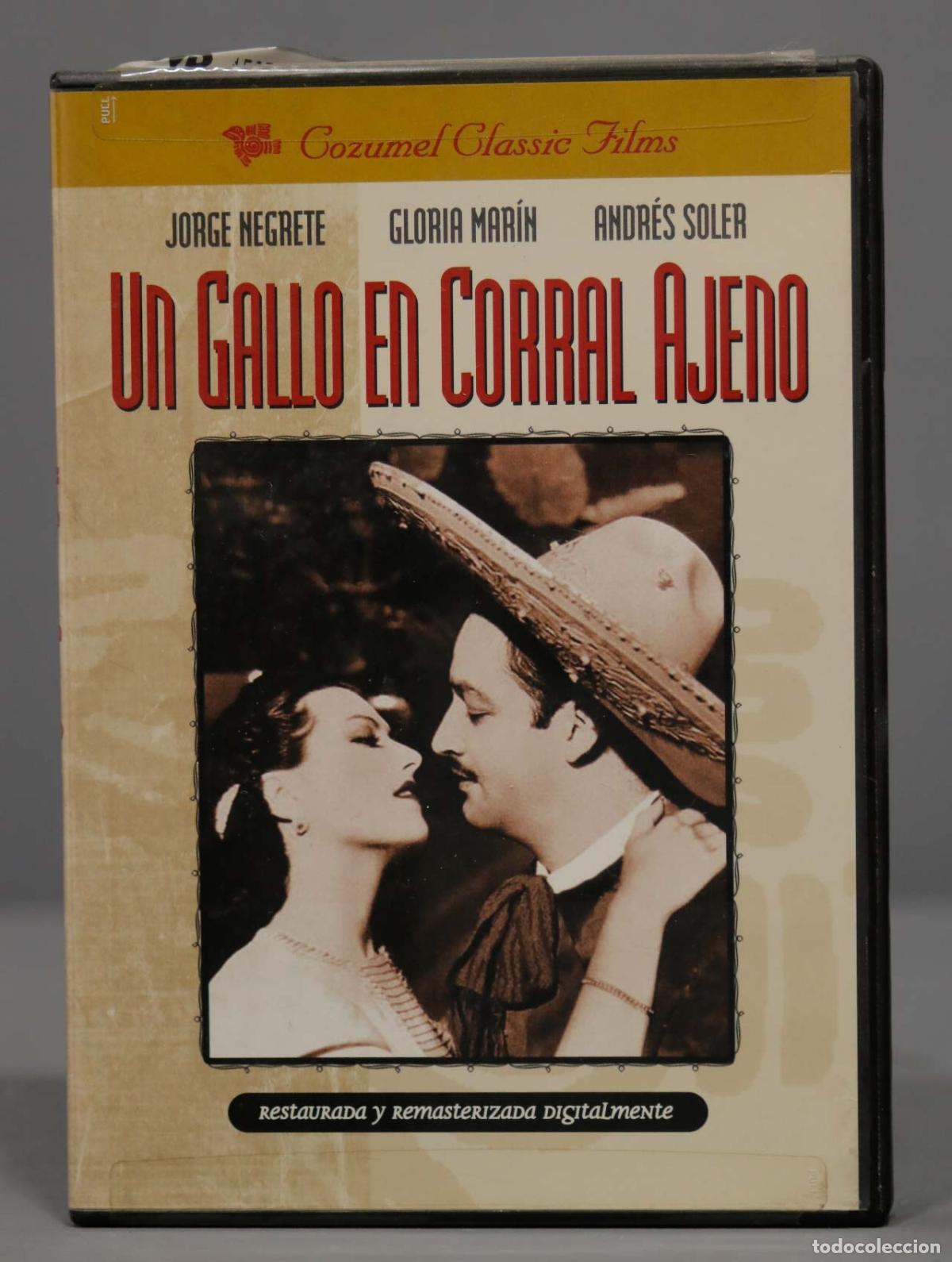 Cin&eacute;ma: DVD. UN GALLO EN EL CORRAL AJENO