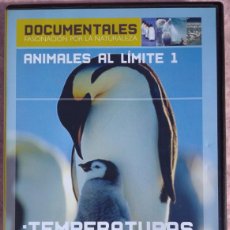 Cine: ANIMALES AL LÍMITE 1: TEMPERATURAS EXTREMAS (BBC, 2005) /// DOCUMENTALES NATIONAL GEOGRAPHIC CIENCIA