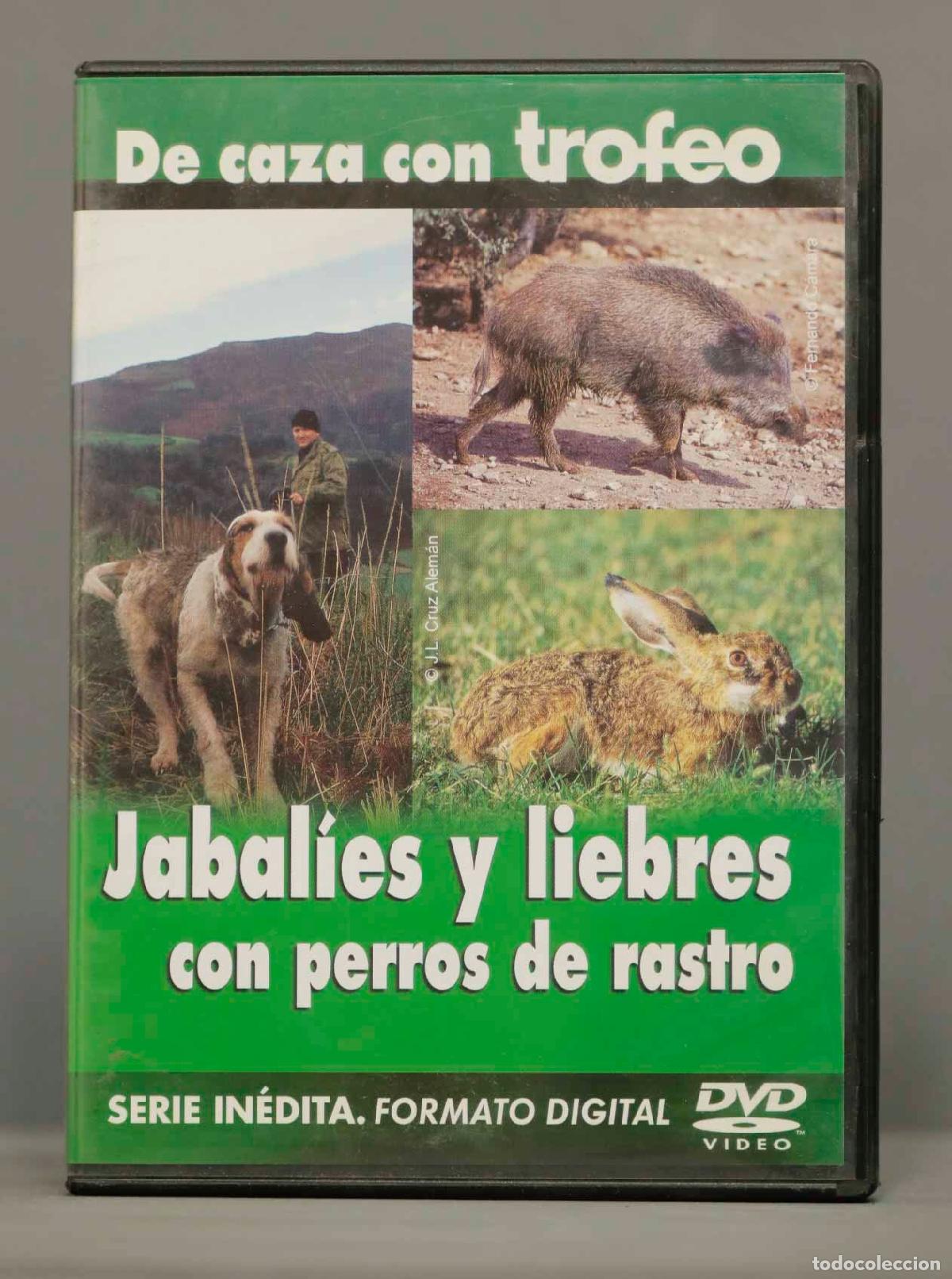Cinema: DVD. JABALIES Y LIEBRES CON PERROS DE RASTRO