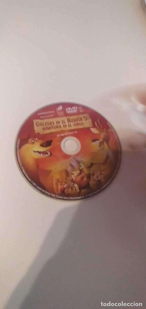 Cinema: C-&Ntilde;&Ntilde;54 DVD SIN CARATULA COLEGAS EN EL BOSQUE 3