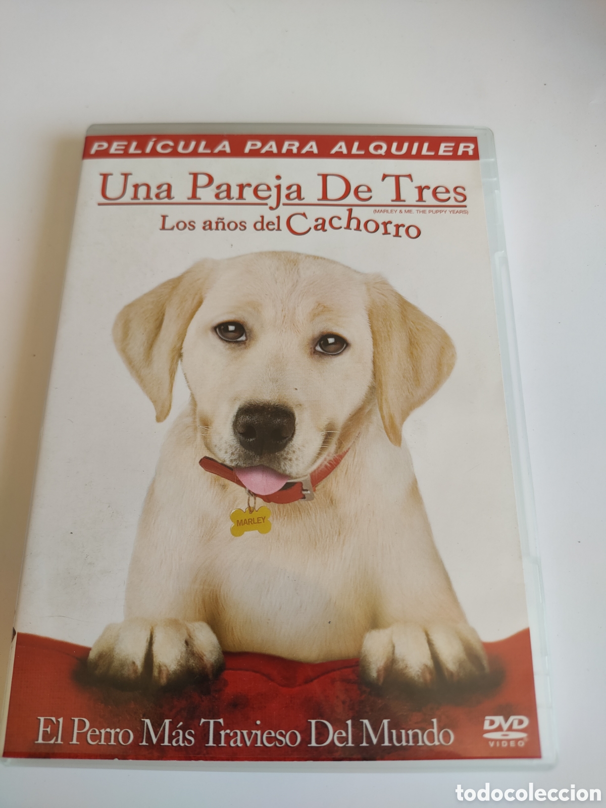 Kino: V95 una pareja de tres los a&ntilde;os del cachorro DVD PROCEDENTE DE VIDEOCLUB