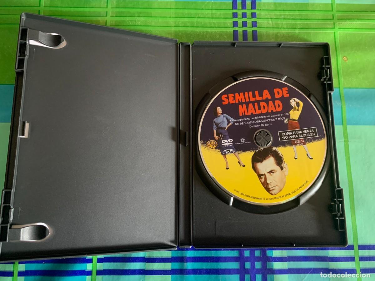 Cine: SEMILLA DE MALDAD - Foto 3