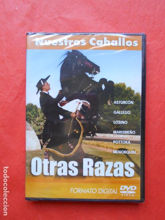 Kino: DVD NUESTROS CABALLOS OTRAS RAZAS PRECINTADO