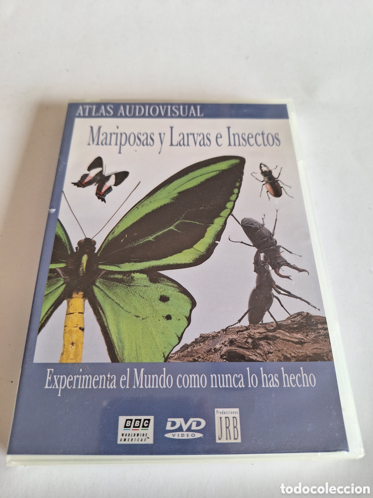 Cin&eacute;ma: ND29 mariposas y larvas e insectos DVD NUEVO PRECINTADO
