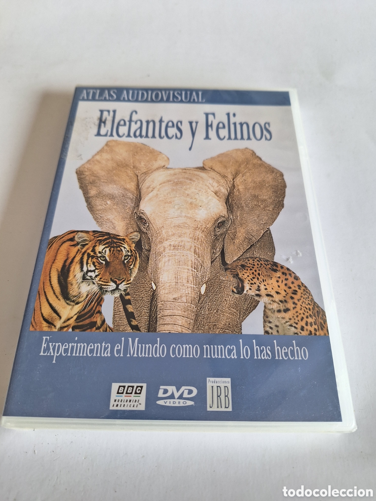 Cin&eacute;ma: ND22 elefantes y felinos DVD NUEVO PRECINTADO