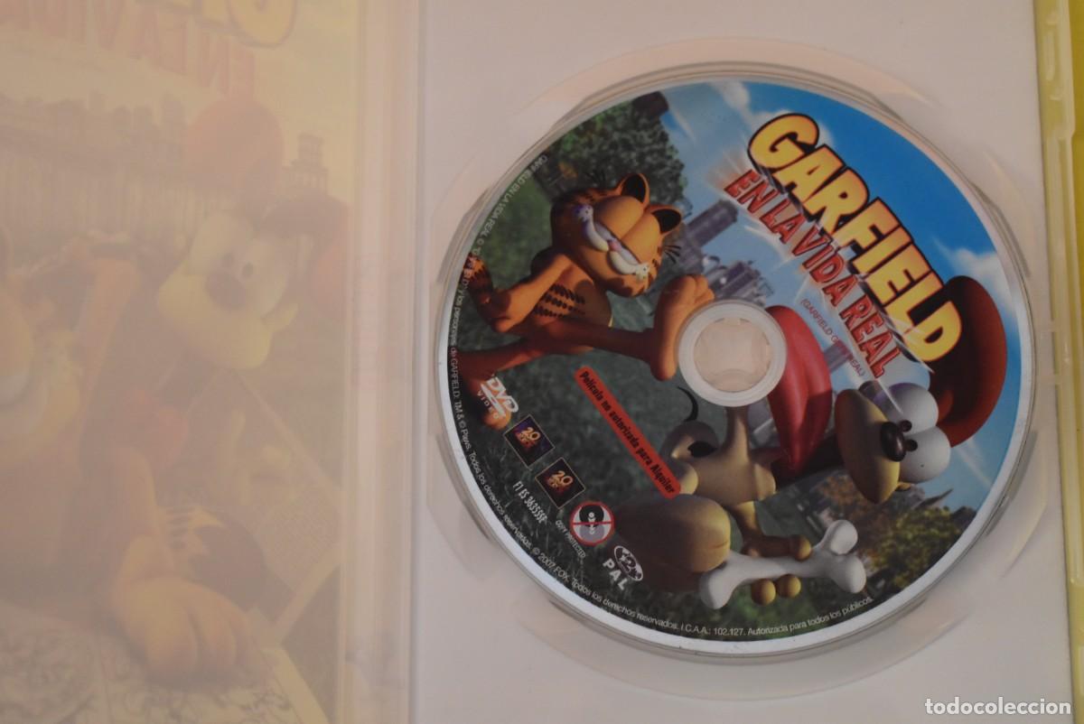 Cine: DVD Garfield en la vida real - Foto 2