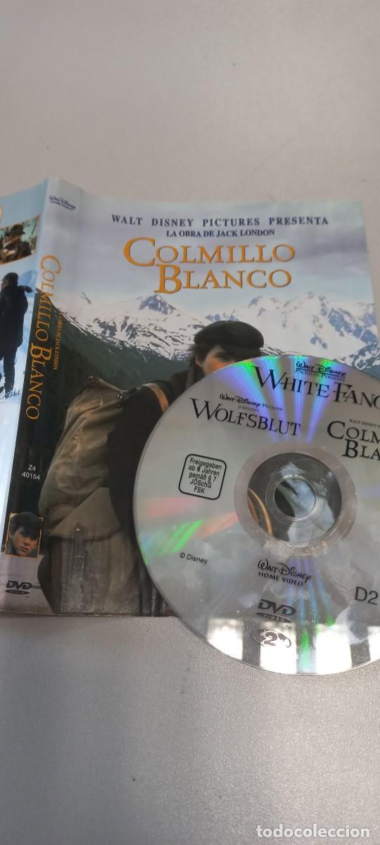Cine: Pel&iacute;cula dvd Colmillo blanco - Foto 1