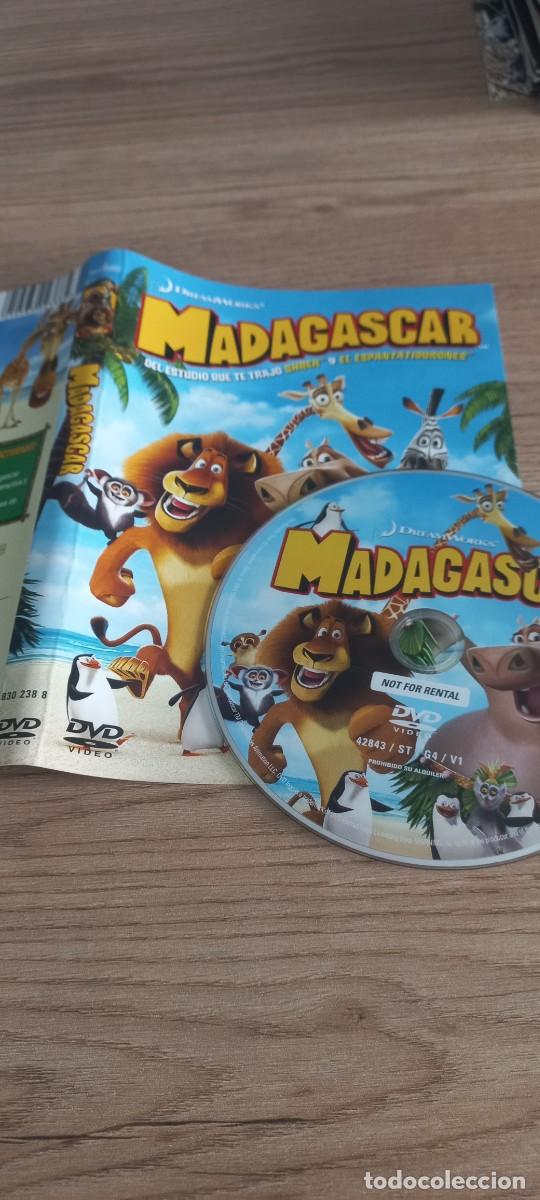 Cine: Pel&iacute;cula dvd Madagascar - Foto 1