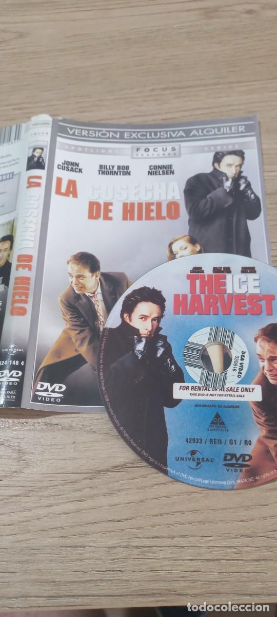 Cinema: Pel&iacute;cula dvd La cosecha de hielo