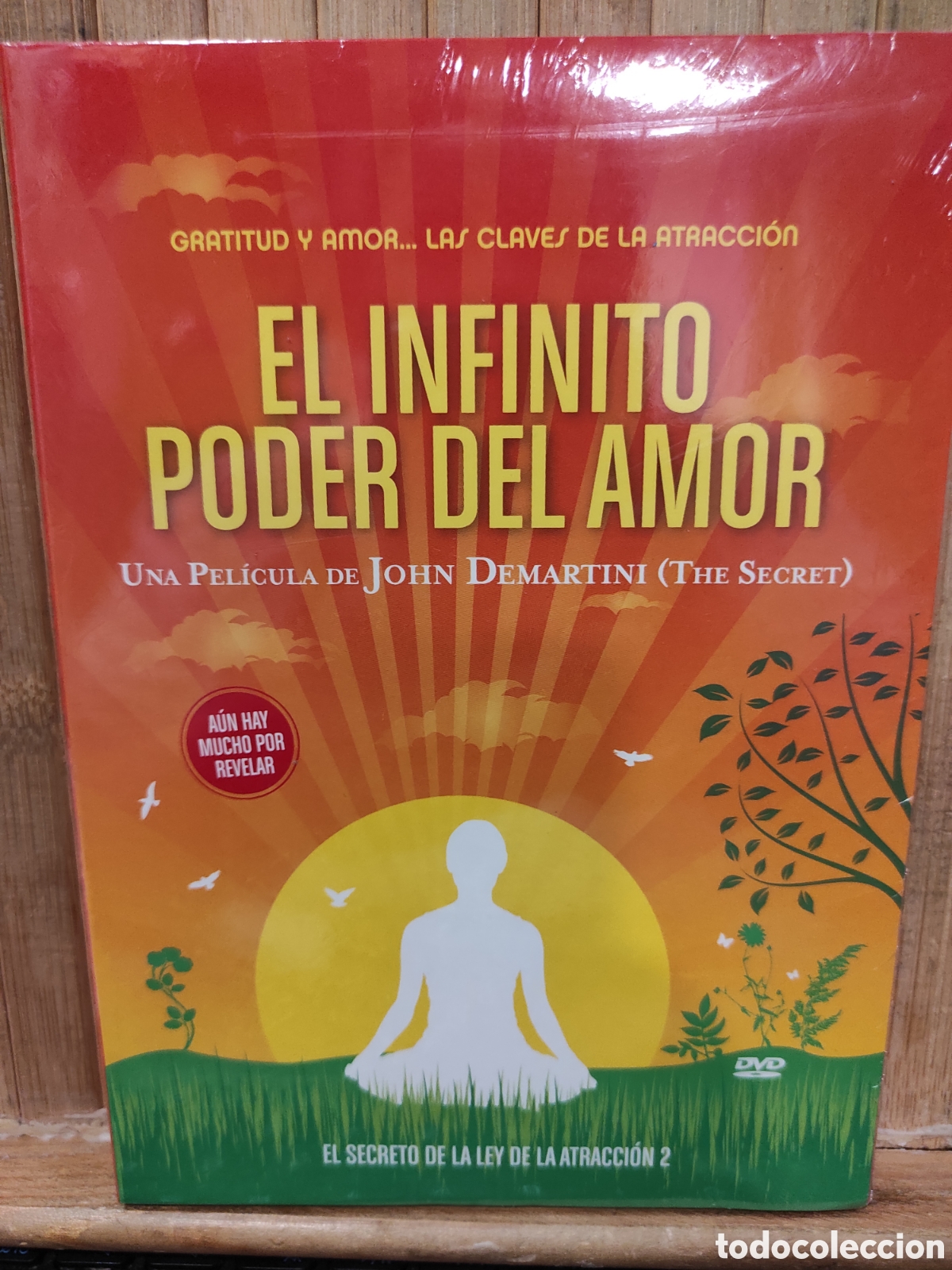 Cine: EL INFINITO PODER DEL AMOR -DVD PRECINTADO