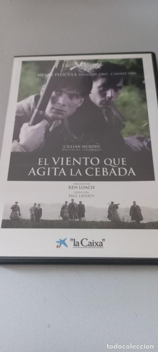 Cinema: Pel&iacute;cula dvd slim El viento que agita la cebada