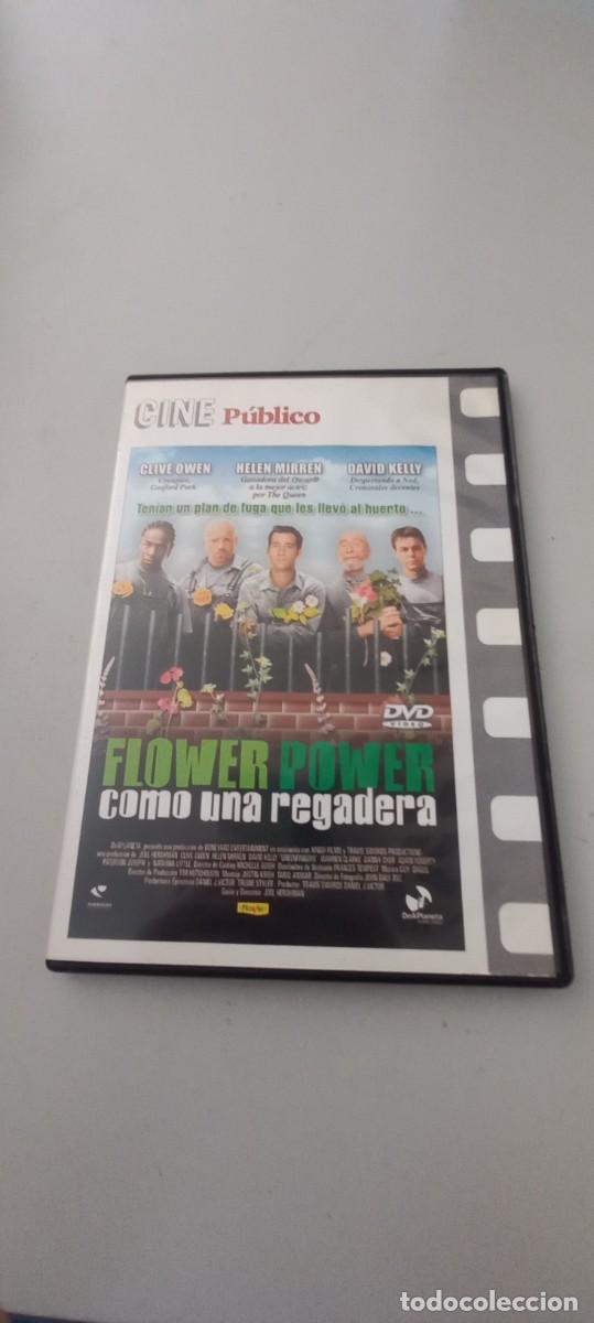 Kino: Pel&iacute;cula dvd slim Flower power - Como una regadera