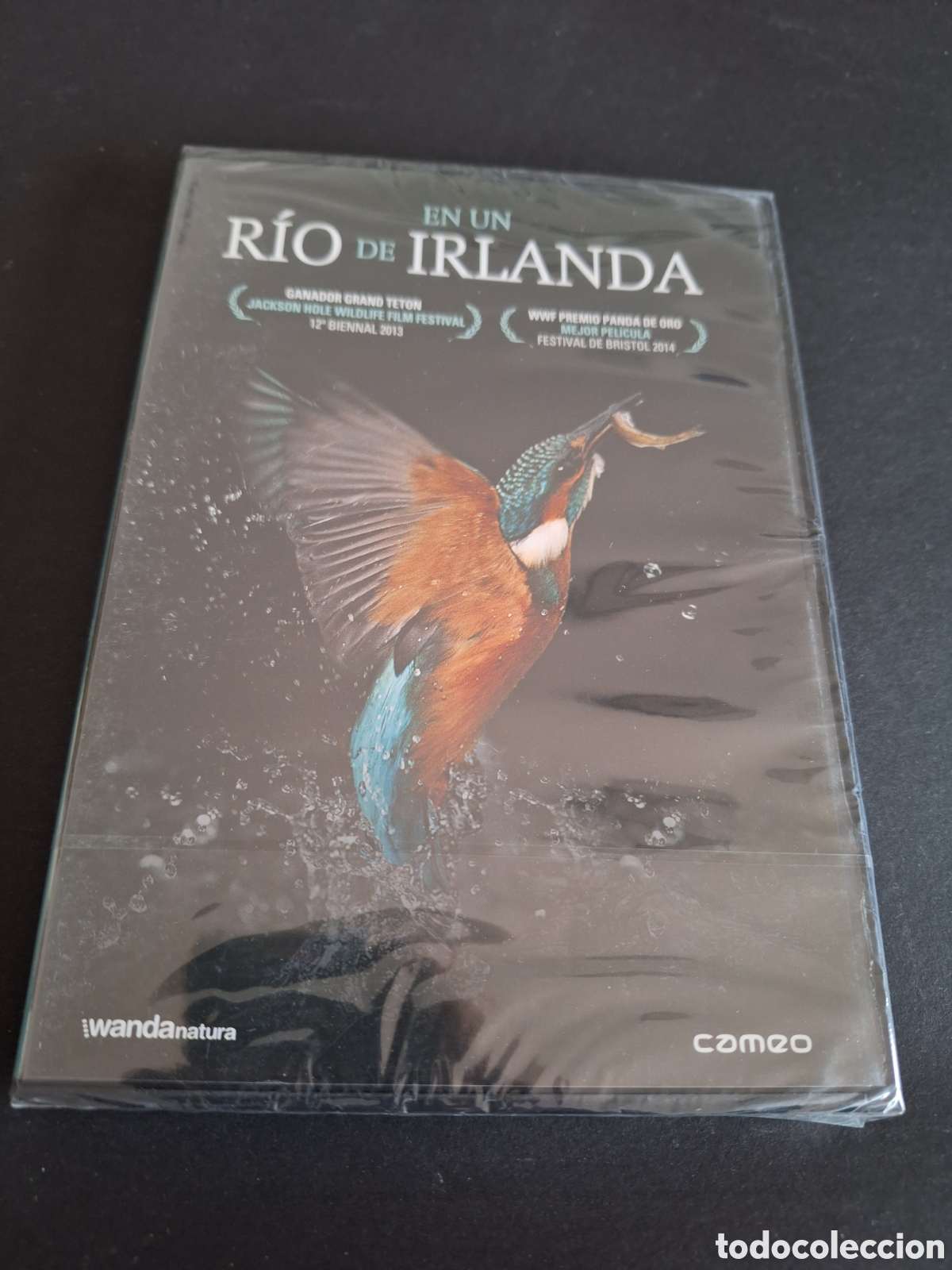 Cinema: ND358 en un r&iacute;o de Irlanda DVD NUEVO PRECINTADO