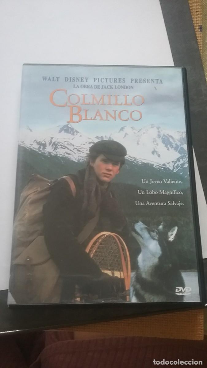 Cine: Dvd. COLMILLO BLANCO (757-1) - Foto 1