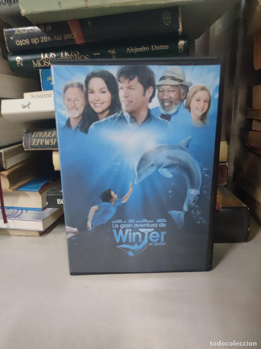 Kino: LA GRAN AVENTURA DE WINTER EL DELFIN