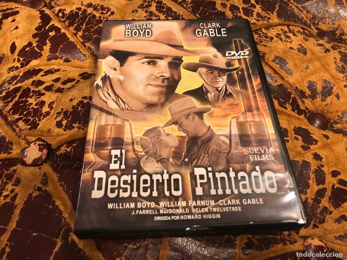 Cinema: DVD. WESTERN. EL DESIERTO PINTADO. HOWARD HIGGIN