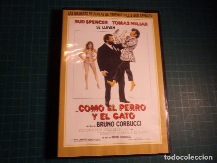 Cine: Como el perro y el gato. (P-35) - Foto 1