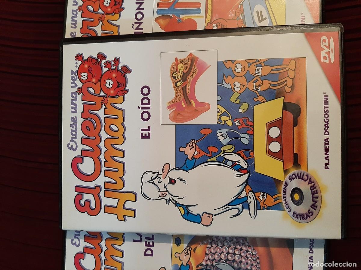 Cine: LOTE 21 DVD ERASE EL CUERPO HUMANO