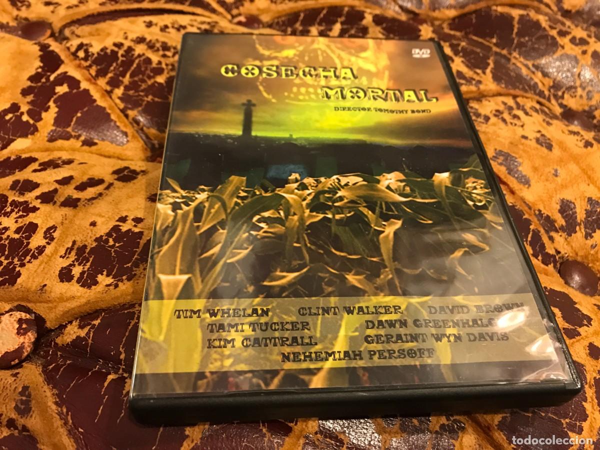 Kino: DVD. COSECHA MORTAL. TOMOTHY BOND
