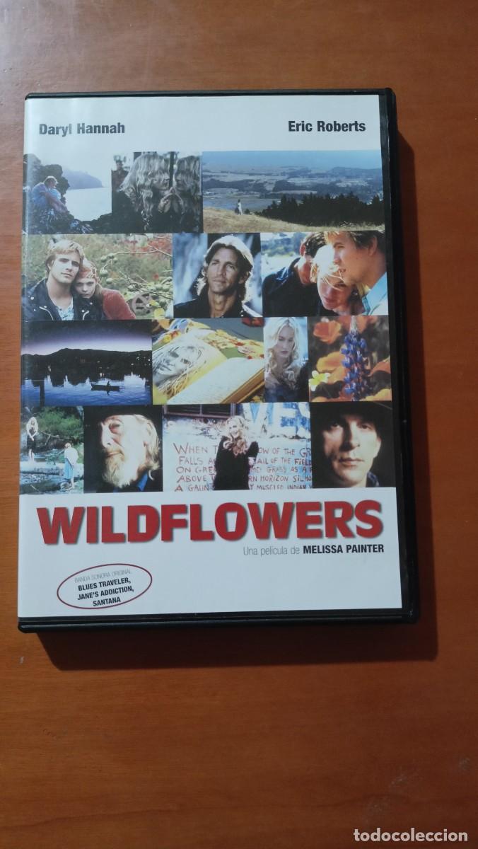 Cine: Wildflowers - Foto 1
