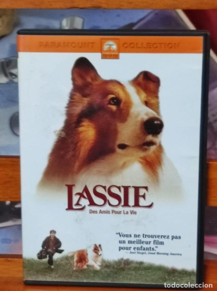 Cine: DVD - LASSIE (PT13) - Foto 1