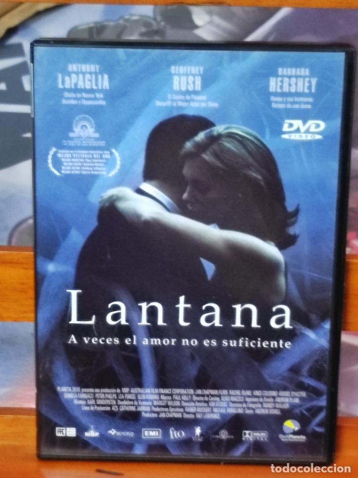 Cinema: DVD - LANTANA (PT17)