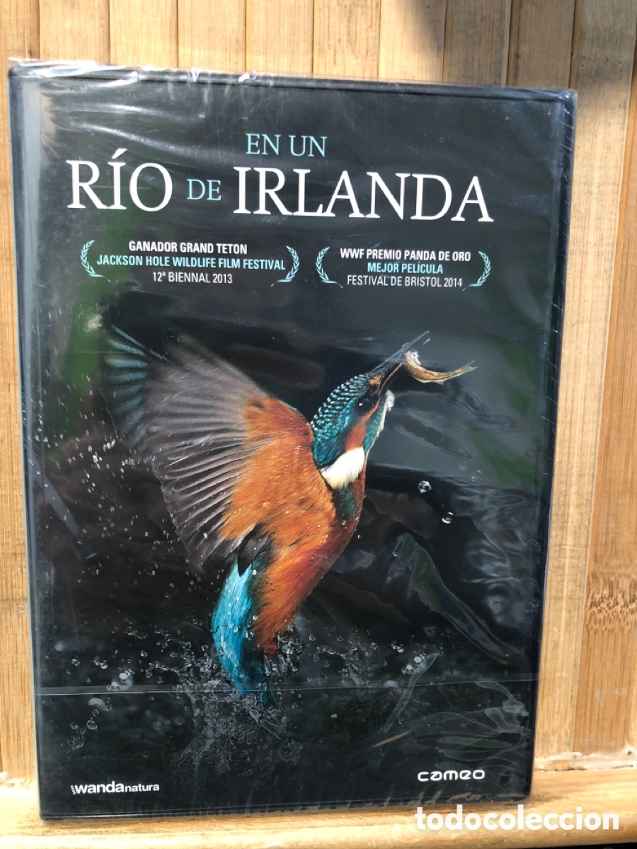 Cine: En un r&iacute;o de Irlanda DVD - Precintado -