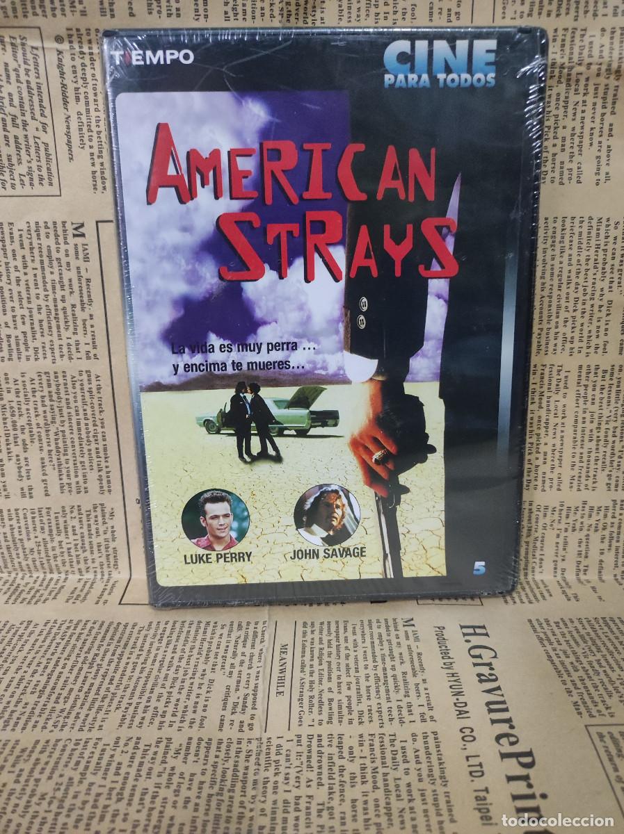 Cine: AMERICAN STRAYS - Foto 1