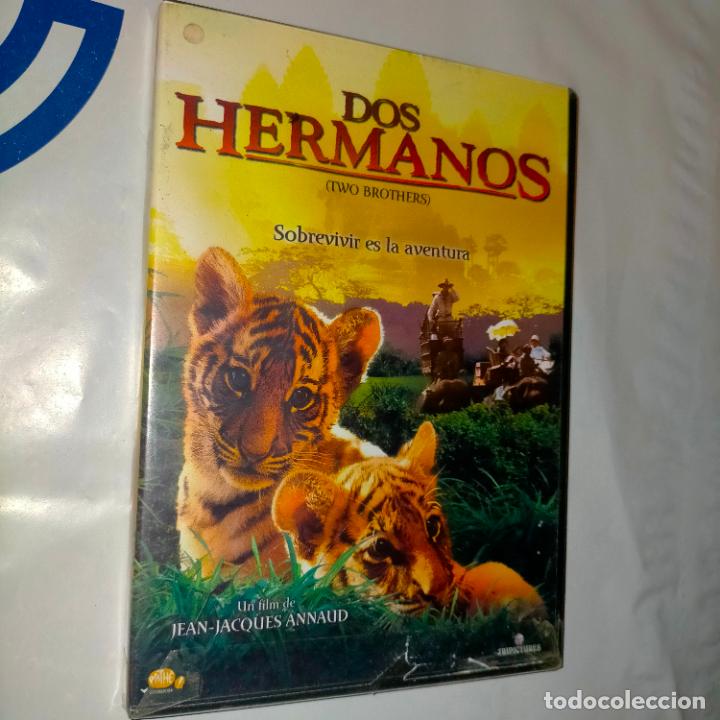 Cinema: CINE - DVD - DOS HERMANOS SOBREVIVIR A LA AVENTURA