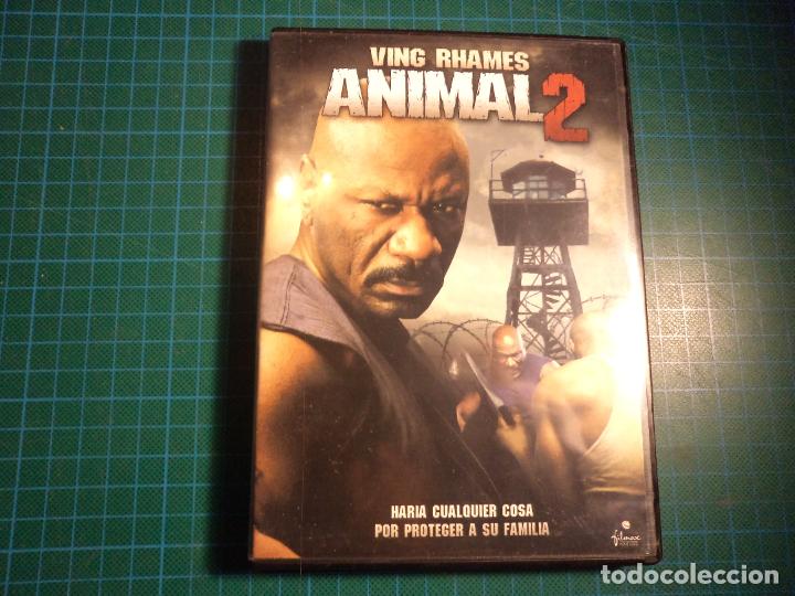 Cine: Animal 2. (P-39)