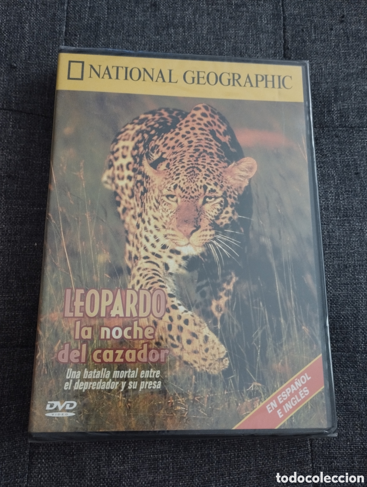 Cin&eacute;ma: LEOPARDO: LA NOCHE DEL CAZADOR (DVD PRECINTADO) NATIONAL GEOGRAPHIC