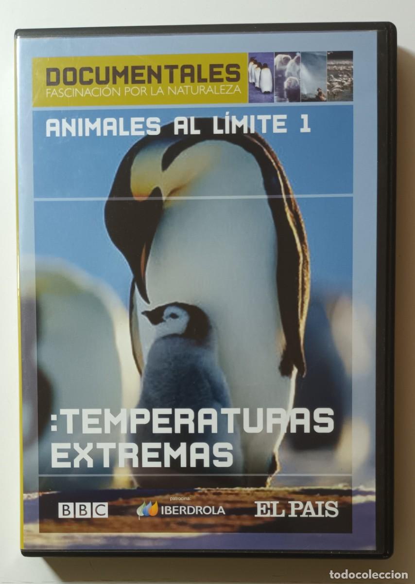 Kino: DVD - DOCUMENTALES - ANIMALES AL LIMITE 1 - TEMPERATURAS EXTREMAS