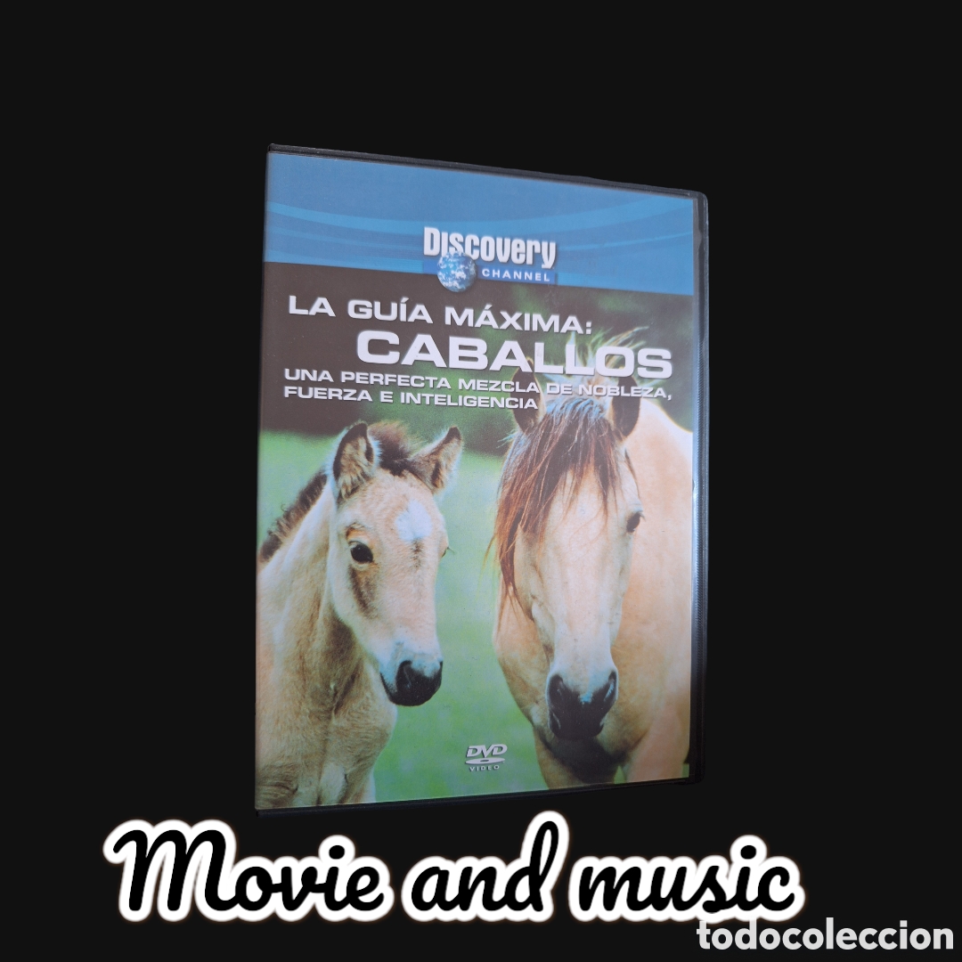 Cinema: S694 la gu&iacute;a m&aacute;xima de caballos DVD SEGUNDAMANO