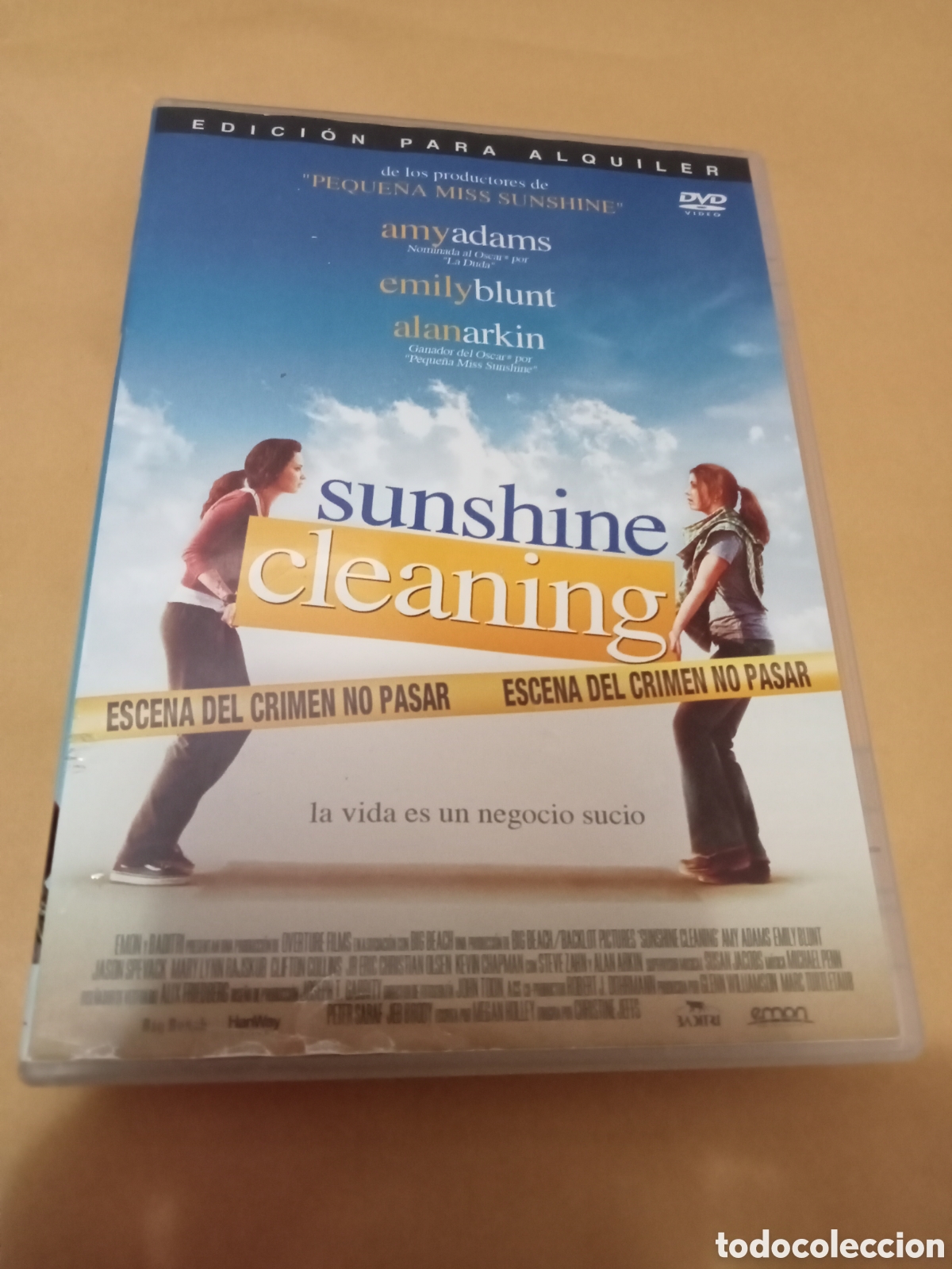 Cin&eacute;ma: Dvd. Sunshine cleaning. Con Emily Blunt.