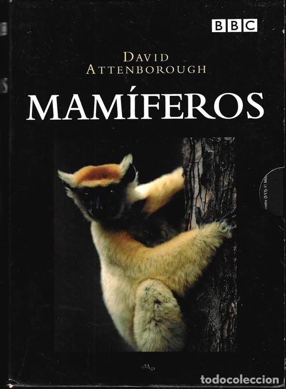 Cine: MAM&Iacute;FEROS DAVID ATTENBOROUGH - Foto 1