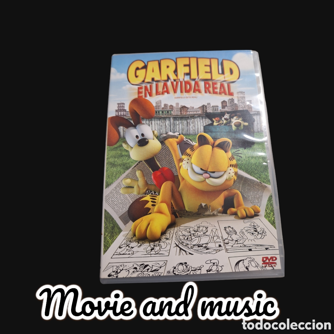 Cine: S713 garfield en la vida real DVD SEGUNDAMANO
