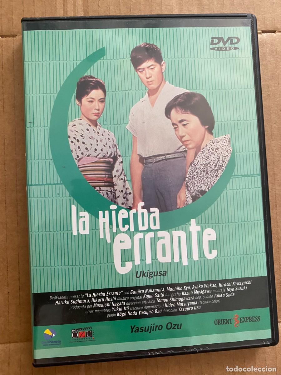 Cine: DVD LA HIERBA ERRANTE - Foto 1