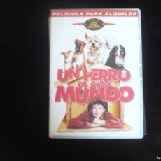 Cine: UN PERRO DE OTRO MUNDO - DVD COMO NUEVO