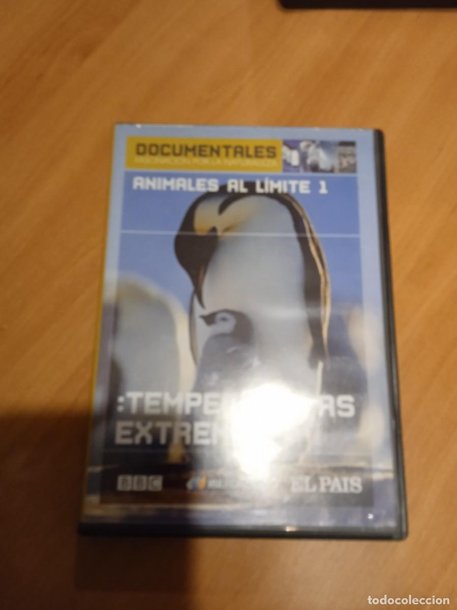 Cinema: M-65 DVD TEMPERATURAS EXTREMAS ANIMALES AL LIMITE 1