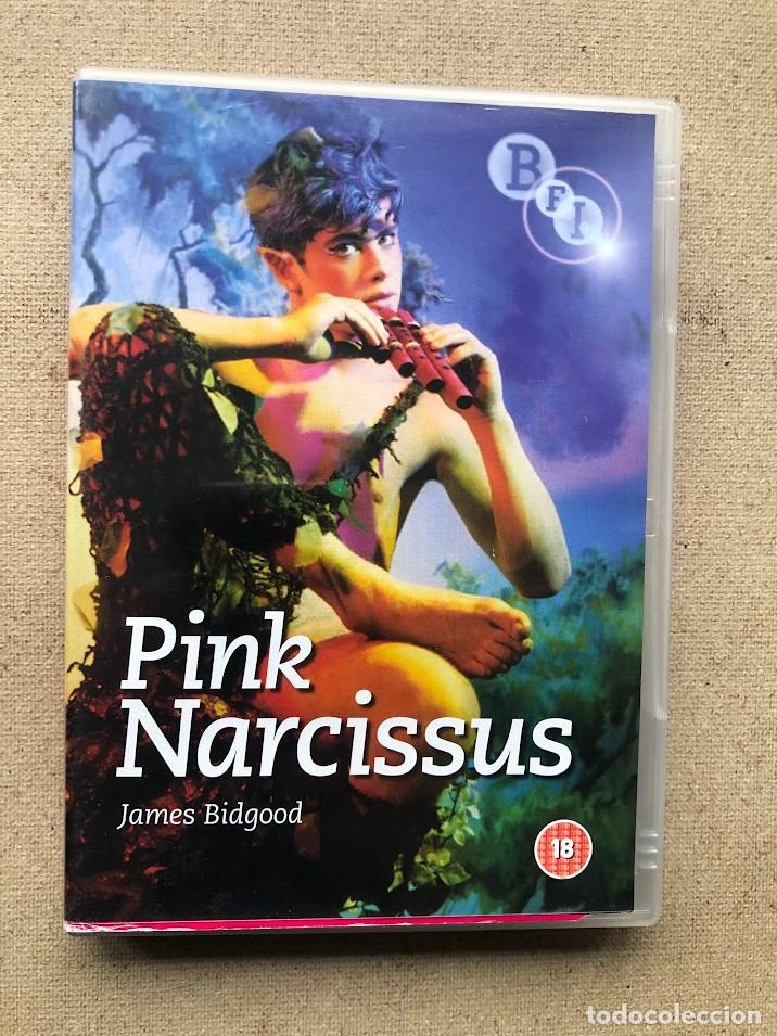 Cinema: Pink Narcissius / EN INGL&Eacute;S / James Bidgood / DVD /