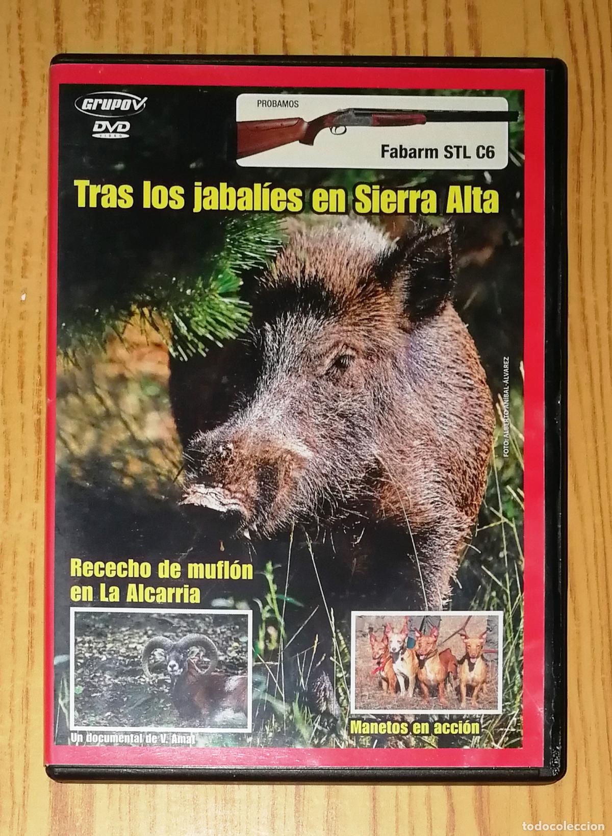 Kino: DVD. TRAS LOS JABAL&Iacute;ES EN SIERRA ALTA... [Caza]. - Grupo V, D.L. 2006