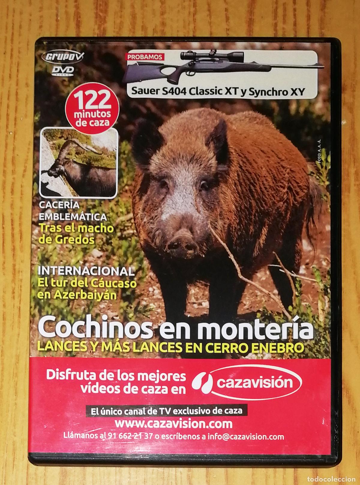 Cinema: DVD. COCHINOS EN MONTER&Iacute;A... [Caza]. - Grupo V, D.L. 2007