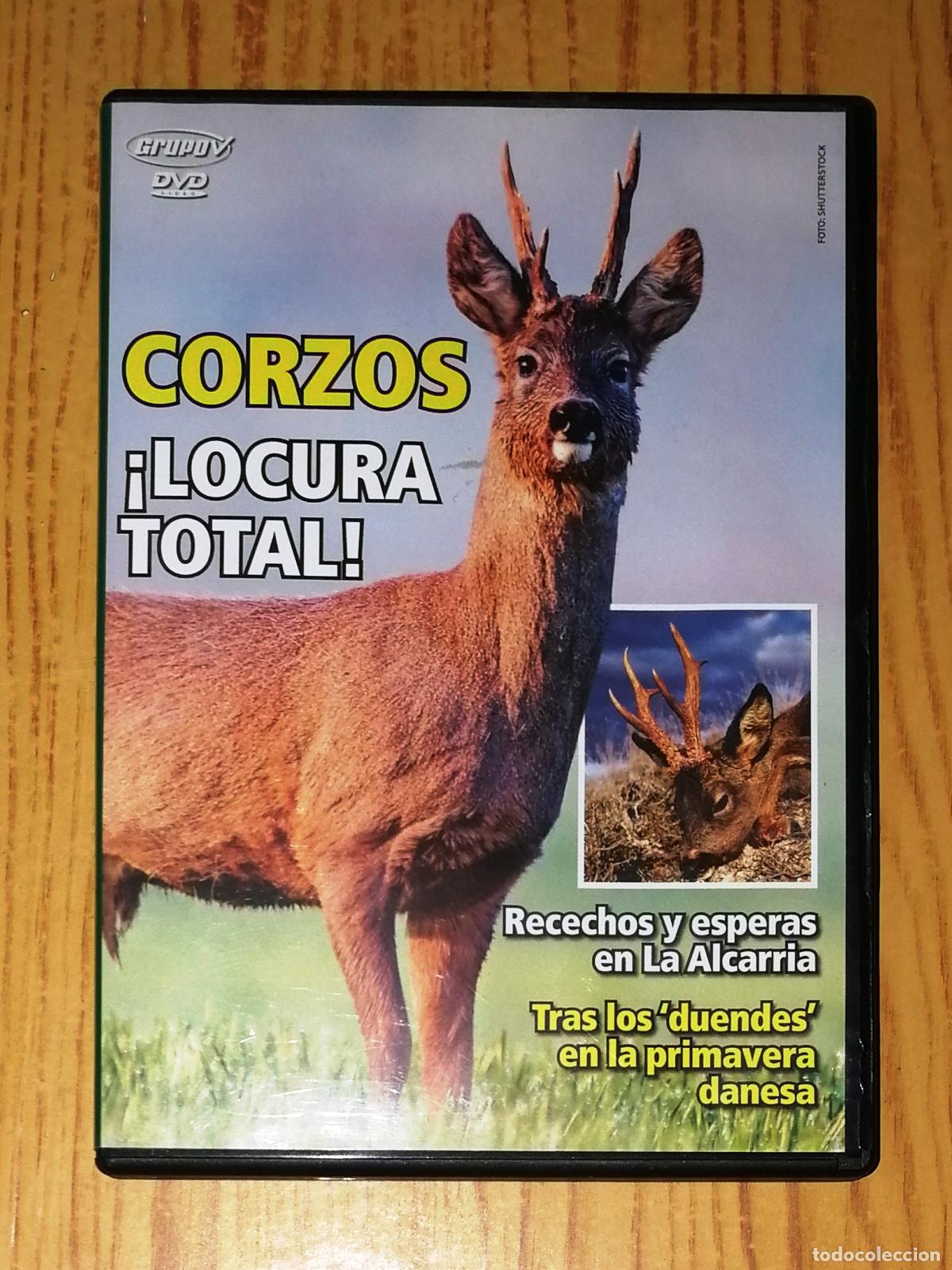 Cinema: DVD. CORZOS : &iexcl;LOCURA TOTAL!... [Caza]. - Grupo V, D.L. 2007