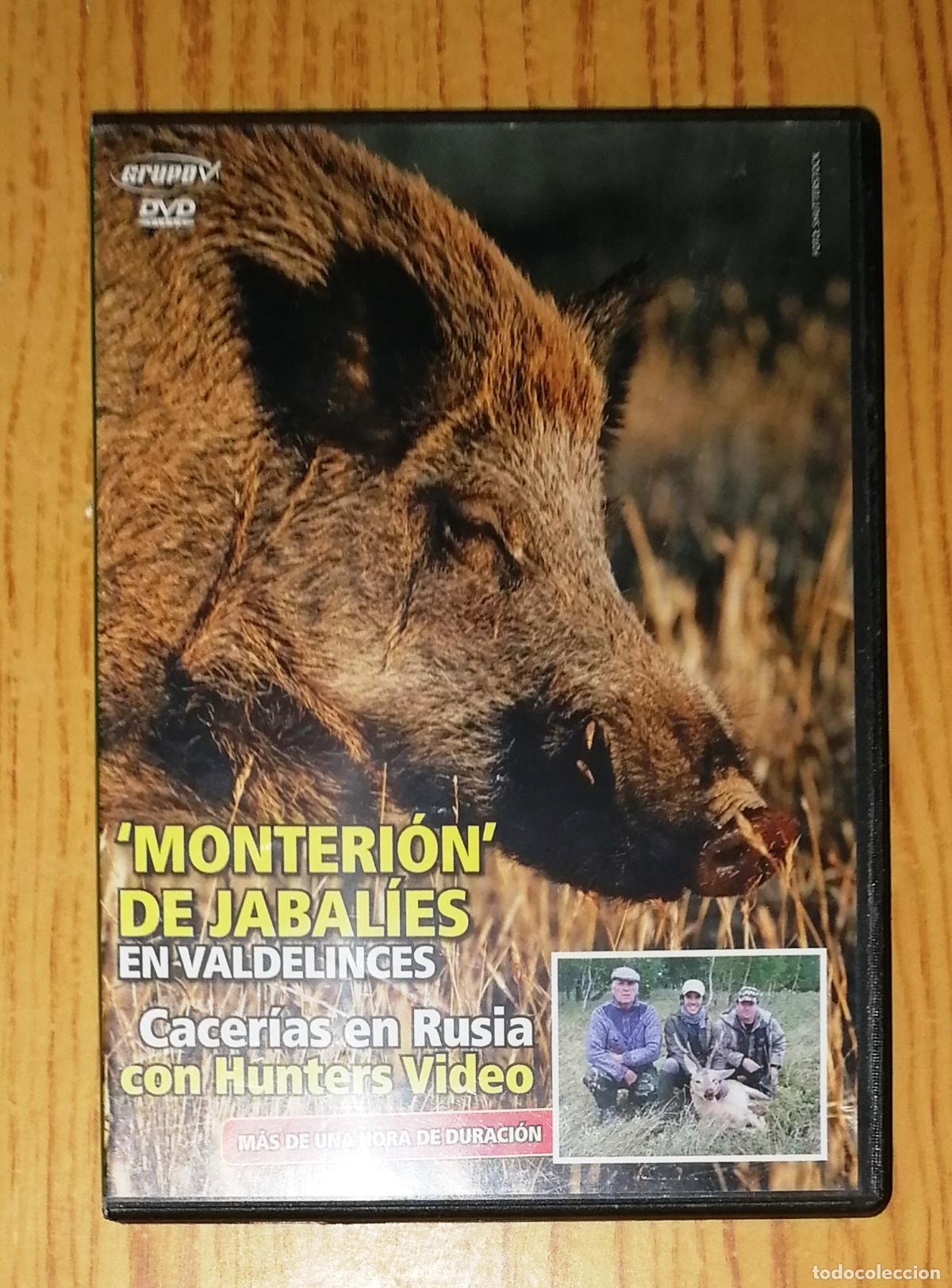 Kino: DVD. 'MONTERI&Oacute;N' DE JABAL&Iacute;ES EN VALDELINCES... [Caza]. - Grupo V, D.L. 2007