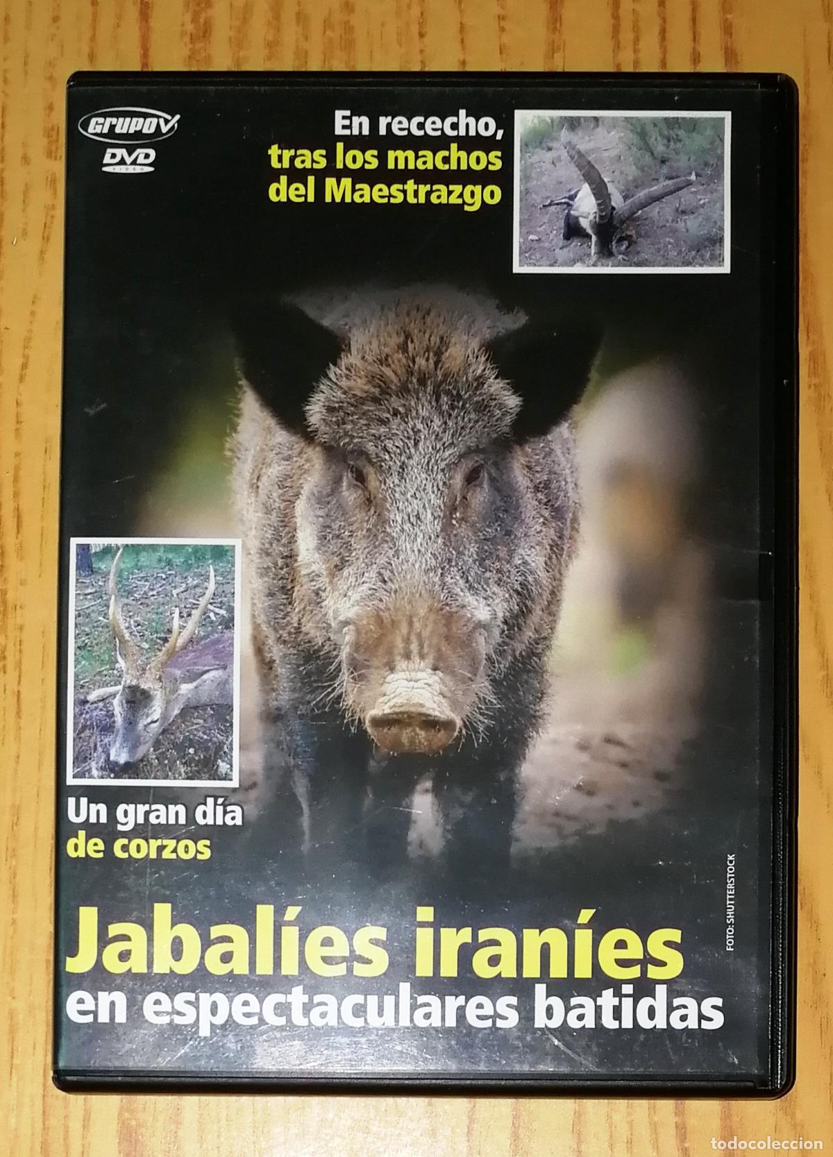 Kino: DVD. JABAL&Iacute;ES IRAN&Iacute;ES EN ESPECTACULARES BATIDAS... [Caza]. - Grupo V, D.L. 2007