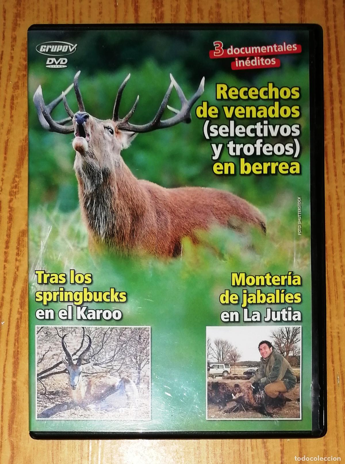 Kino: DVD. RECECHOS DE VENADOS EN BERREA... [Caza]. - Grupo V, D.L. 2007