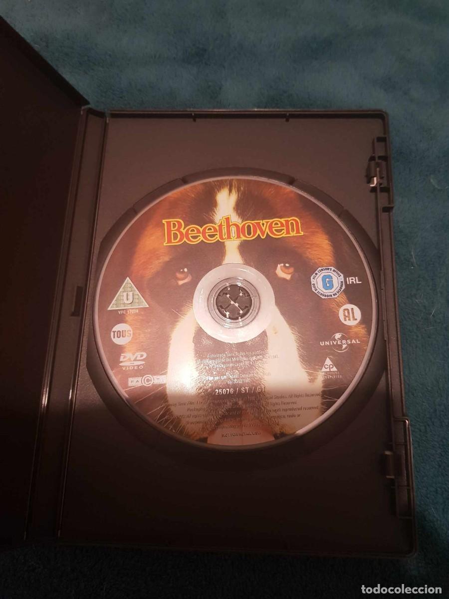Cine: DVD Beethoven - Foto 2