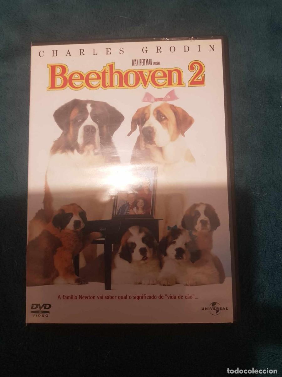 Cine: DVD Beethoven 2 - Foto 1